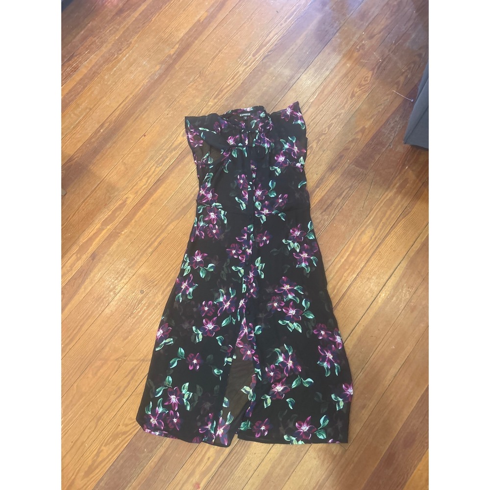 Translucent Express Dress